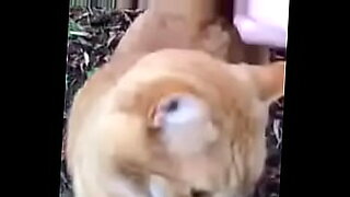 hungry man sucking boobs n pussy japanese
