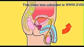 first taim cartoon sex video