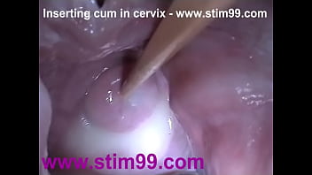 inserting cum into cervix